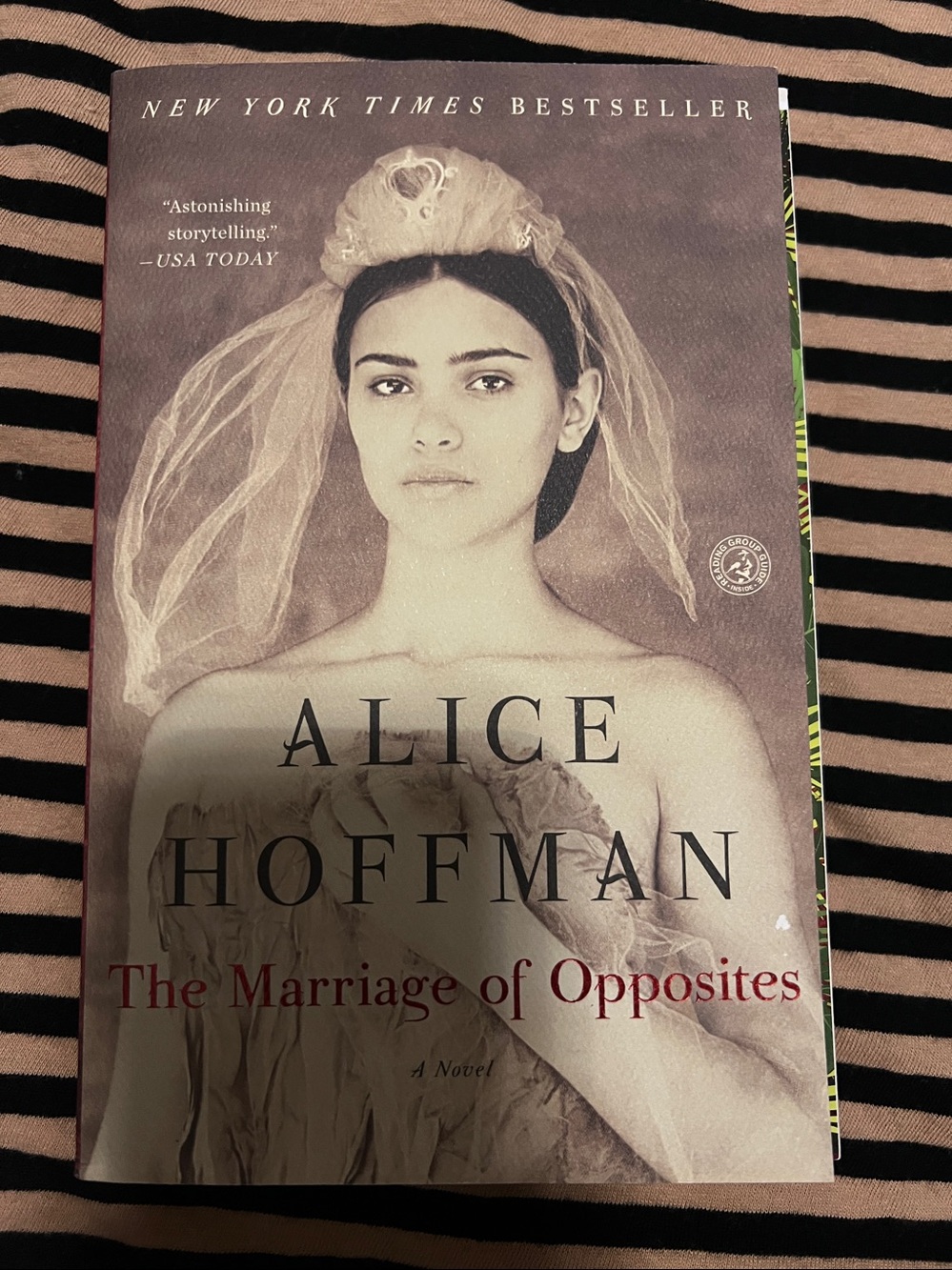 The Marriage of Opposites by Alice Hoffman
